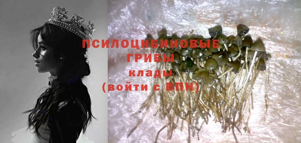 соль ск Абаза