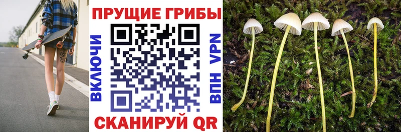 Псилоцибиновые грибы Magic Shrooms  Альметьевск 