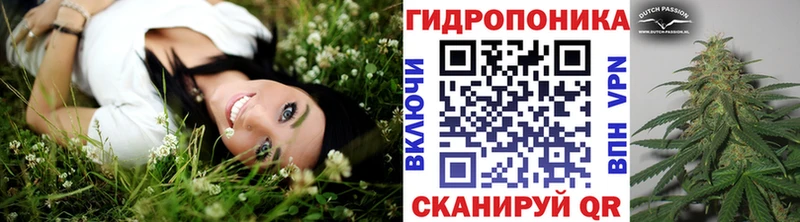 ОМГ ОМГ как войти  Альметьевск  Канабис Bruce Banner 